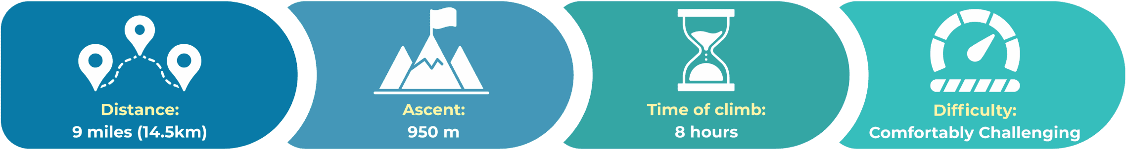 Your Challenge, By the Numbers Your Challenge, By the Numbers